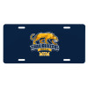 Thumbnail image for  License Plate
