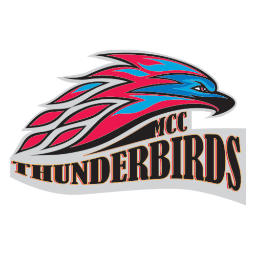  Extra Large Decal - Official Logo