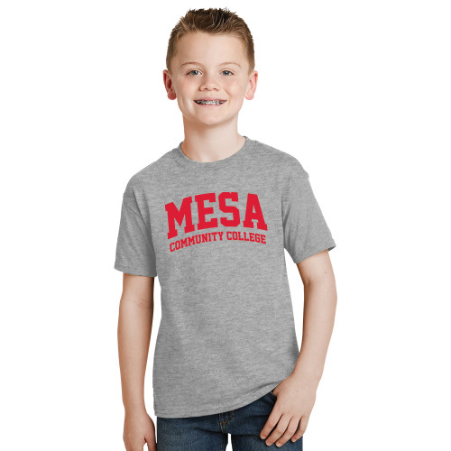 Main Image for  Youth Grey T-Shirt