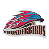 Thumbnail image for  Large Decal