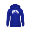 Thumbnail image for  Youth Royal Fleece Hoodie