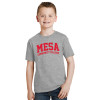 Thumbnail image for  Youth Grey T-Shirt