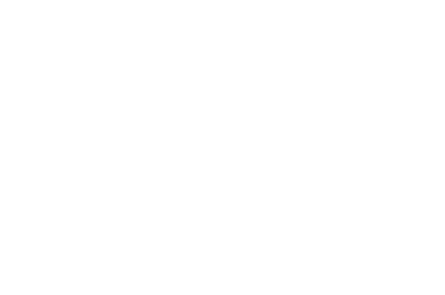 MSU Denver Roadrunners