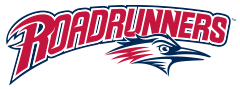 MSU Denver Roadrunners