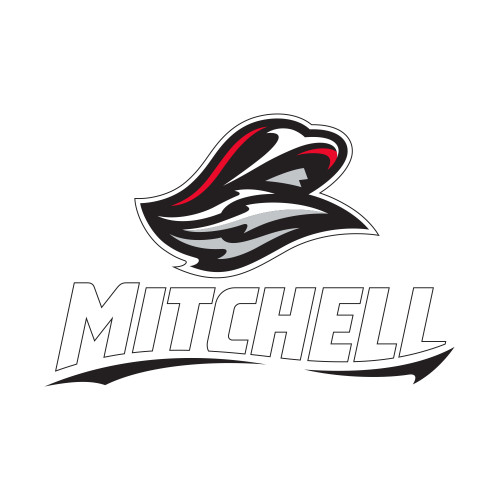  Small Decal - Mitchell W Mariner
