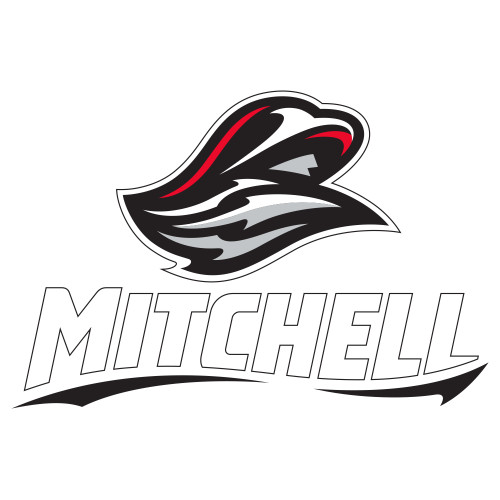  Extra Large Decal - Mitchell W Mariner