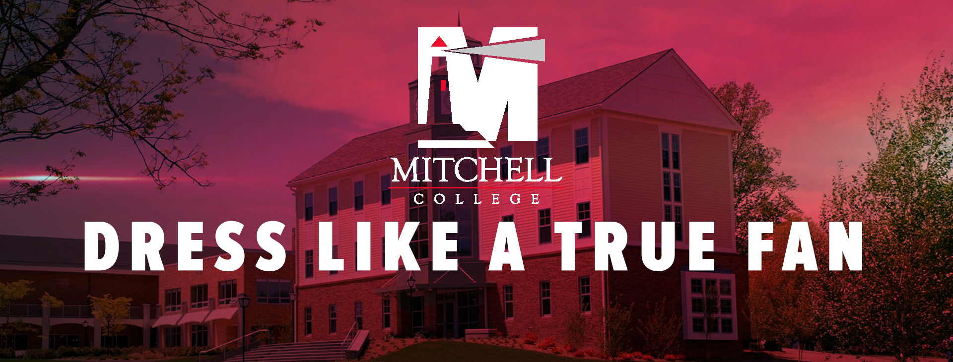 Promotional banner