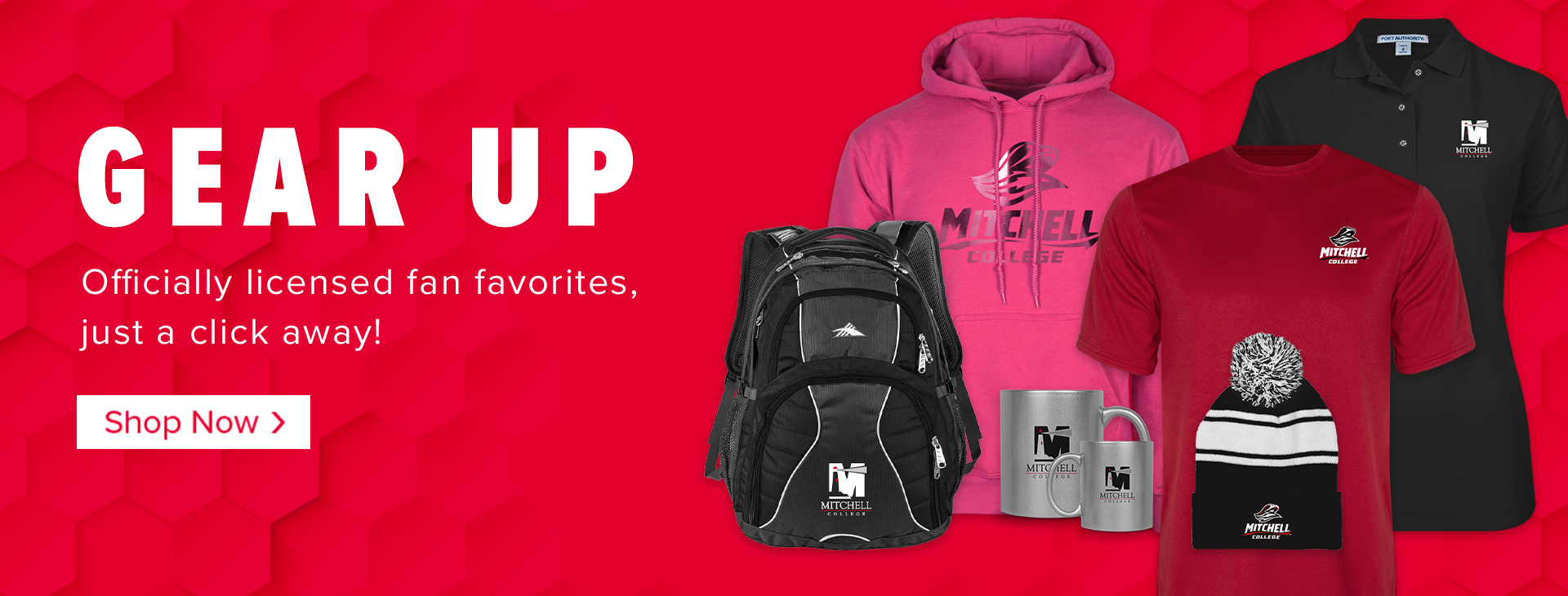 Promotional banner