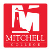 Thumbnail image for  Medium Decal