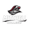 Thumbnail image for  Medium Decal