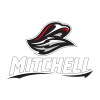 Thumbnail image for  Medium Decal