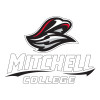 Thumbnail image for  Large Decal