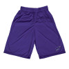 Thumbnail image for  Purple Performance Classic 9 Inch Short