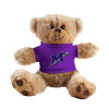 Thumbnail image for  Plush Big Paw 8 1/2 inch Brown Bear w/Purple Shirt
