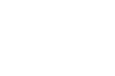 McCain Institute