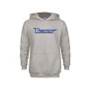 Thumbnail image for  Youth Grey Fleece Hood
