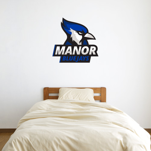  3 ft x 3 ft Fan WallSkinz - Primary Mark