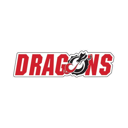  Small Decal - Dragons