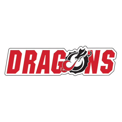 Extra Large Decal - Dragons