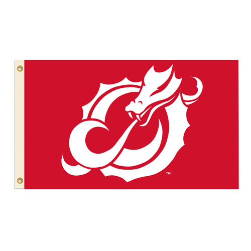  3 ft x 5 ft Flag - Official Logo
