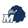 Thumbnail image for  Medium Decal