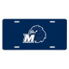Thumbnail image for  License Plate