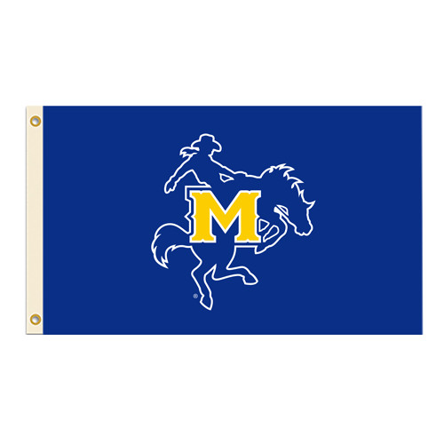  3 ft x 5 ft Flag -                                         