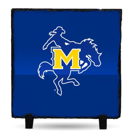  Photo Slate - Primary Mark