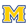 Thumbnail image for  Extra Large Decal