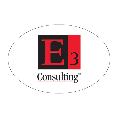 Medium Decal-E3 Consulting, 7in Wide