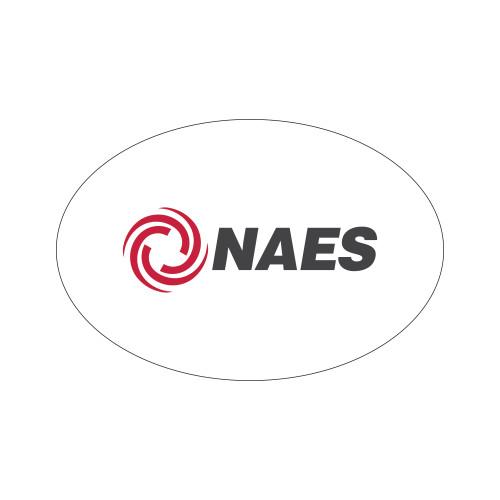 Extra Small Decal-NAES, 8.5in Wide