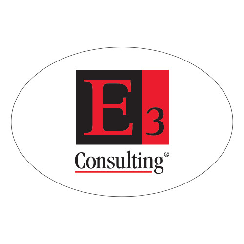 Extra Large Decal-E3 Consulting, 12in Wide