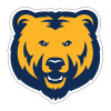 Thumbnail image for  Medium Decal