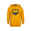 Thumbnail image for  Youth Gold Fleece Hoodie