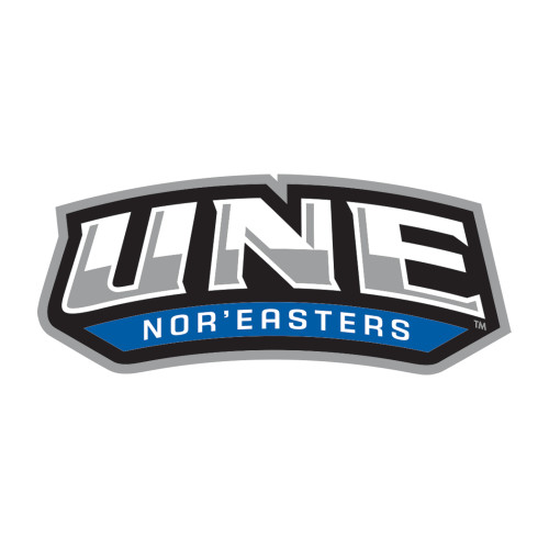  Medium Decal - UNE