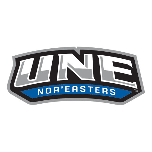  Large Decal - UNE