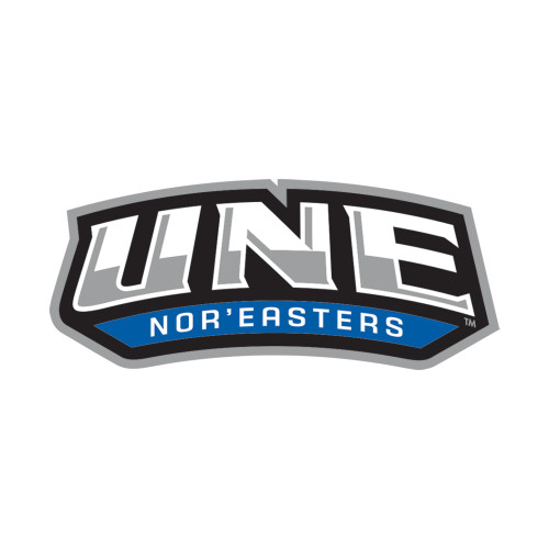  Small Decal - UNE
