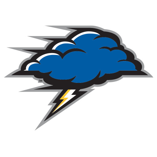  Extra Large Decal - Storm Cloud
