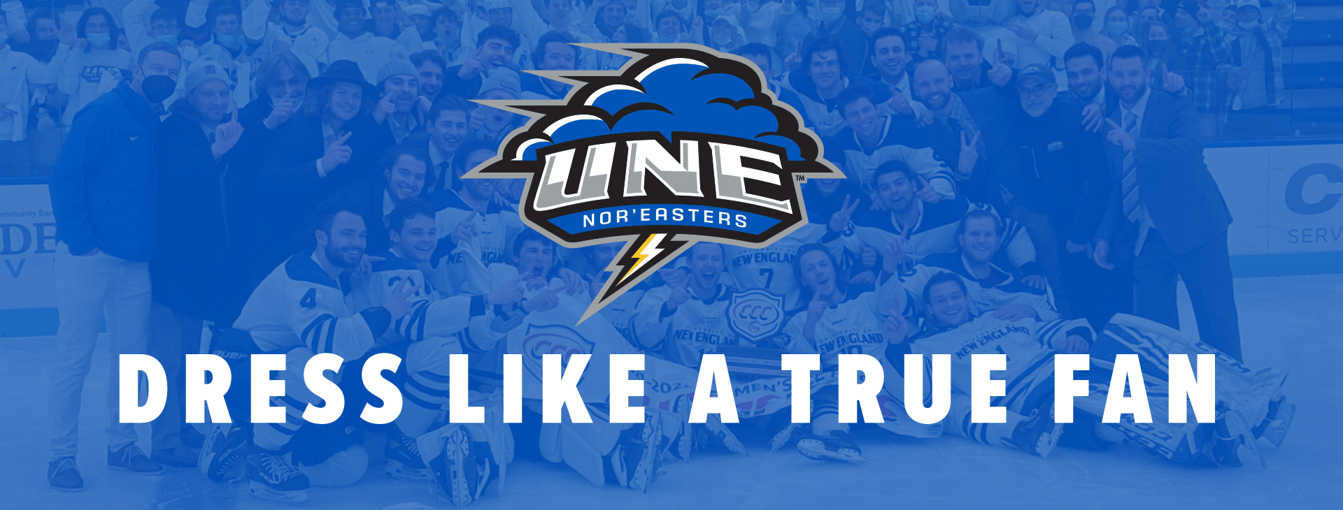 Promotional banner