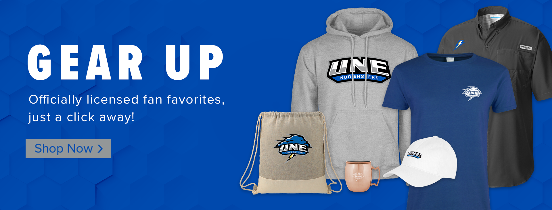 Promotional banner
