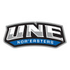 Thumbnail image for  Large Decal