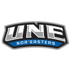 Thumbnail image for  Extra Large Decal