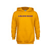 Thumbnail image for  Youth Gold Fleece Hoodie