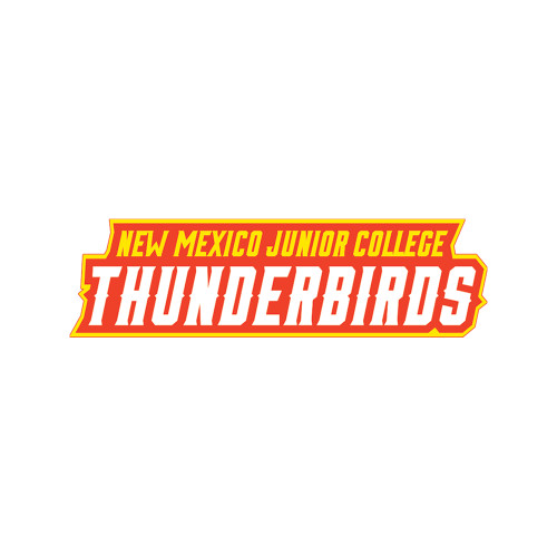  Medium Decal - Thunderbirds Word Mark