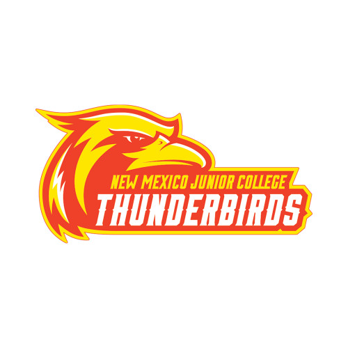  Large Decal - Primary Logo