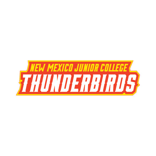  Large Decal - Thunderbirds Word Mark