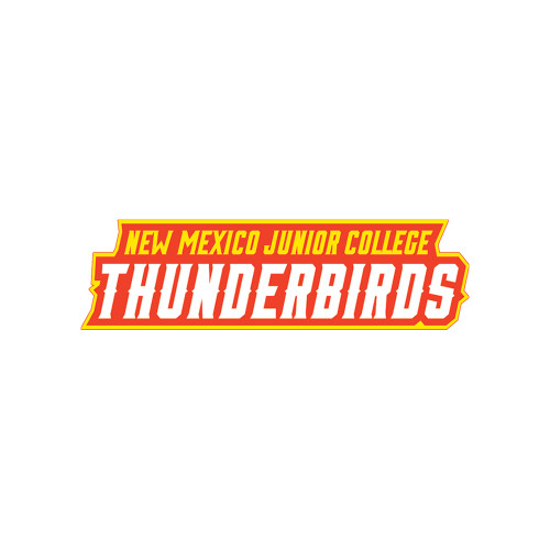  Small Decal - Thunderbirds Word Mark