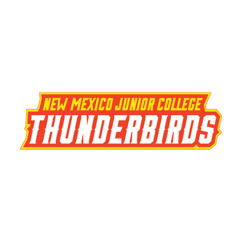  Extra Large Decal - Thunderbirds Word Mark