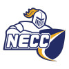 Thumbnail image for  Large Decal