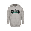 Thumbnail image for  Youth Grey Fleece Hood